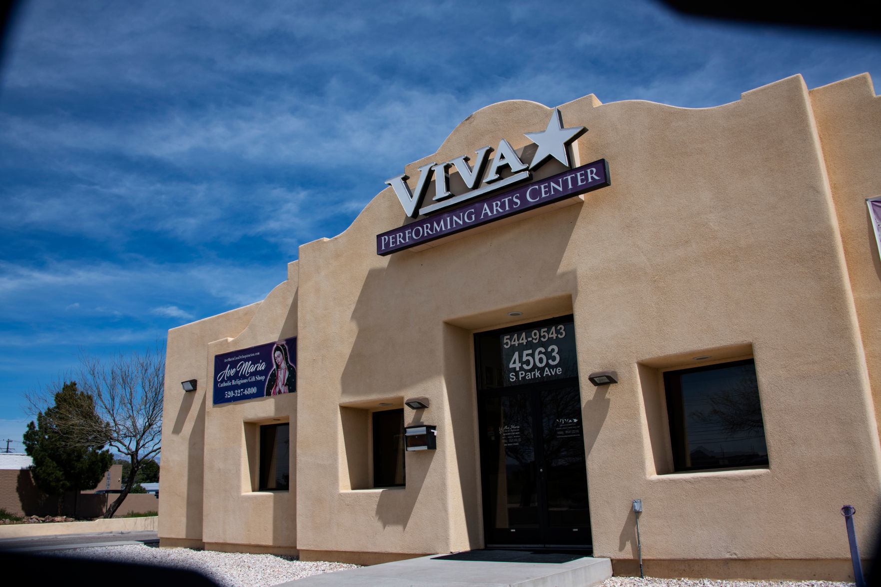Viva Performing Arts